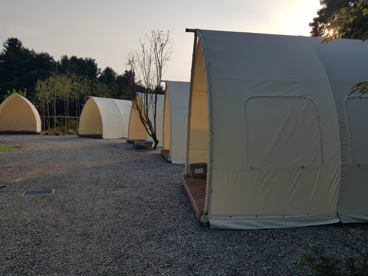 1948697120_N6UJI7aS_5ec8dfb9dc90ec25e23caf0df16bba6ad017026c.jpg 이미지크게보기